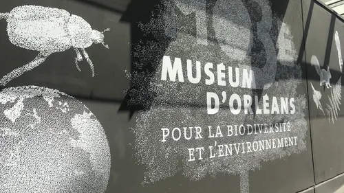 Le Muséum d’Orléans pour la biodiversité et l’environnement gratuit...